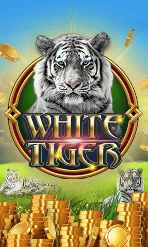 White Tiger