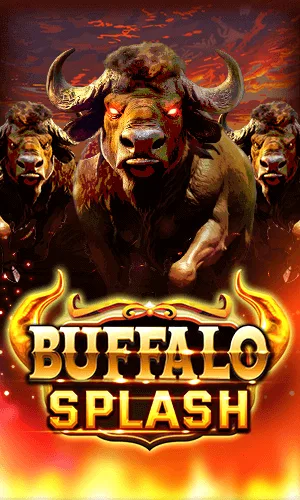 Buffalo Splash