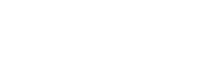 Partner 1