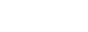 Partner 25