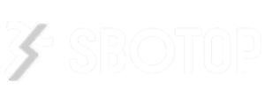 Partner 16